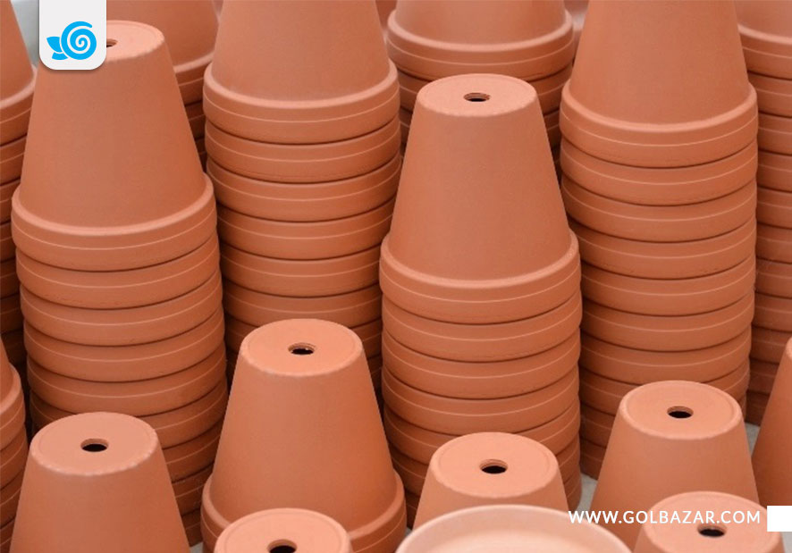 گلدان تکثیر نخل آپارتمانی