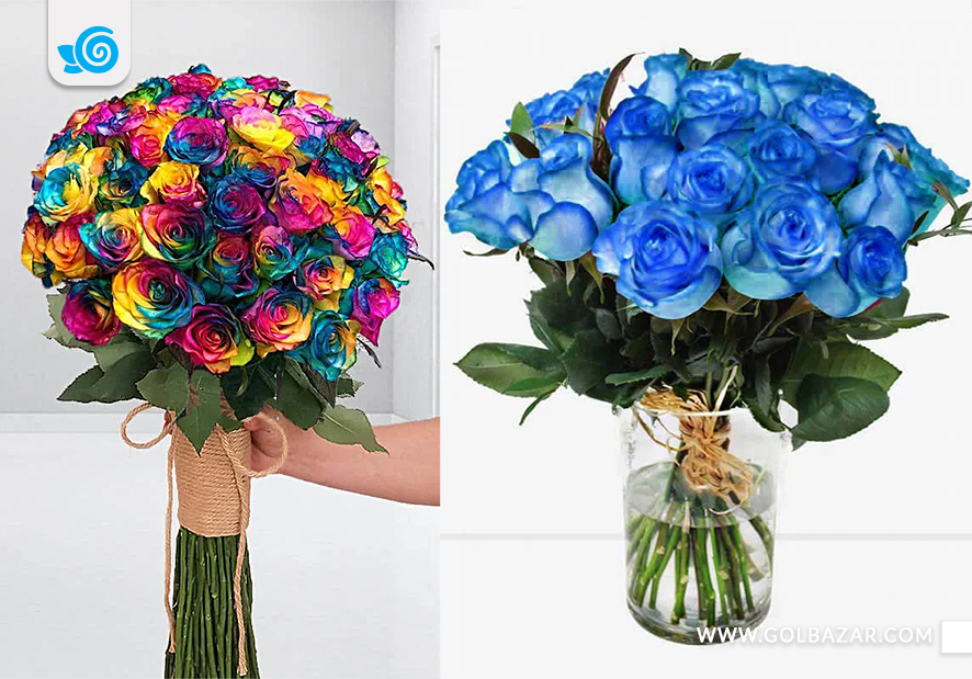 گل رز هلندی رنگ شده