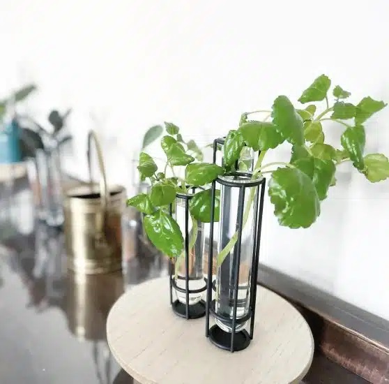 قلمه زدن برگ نعنایی