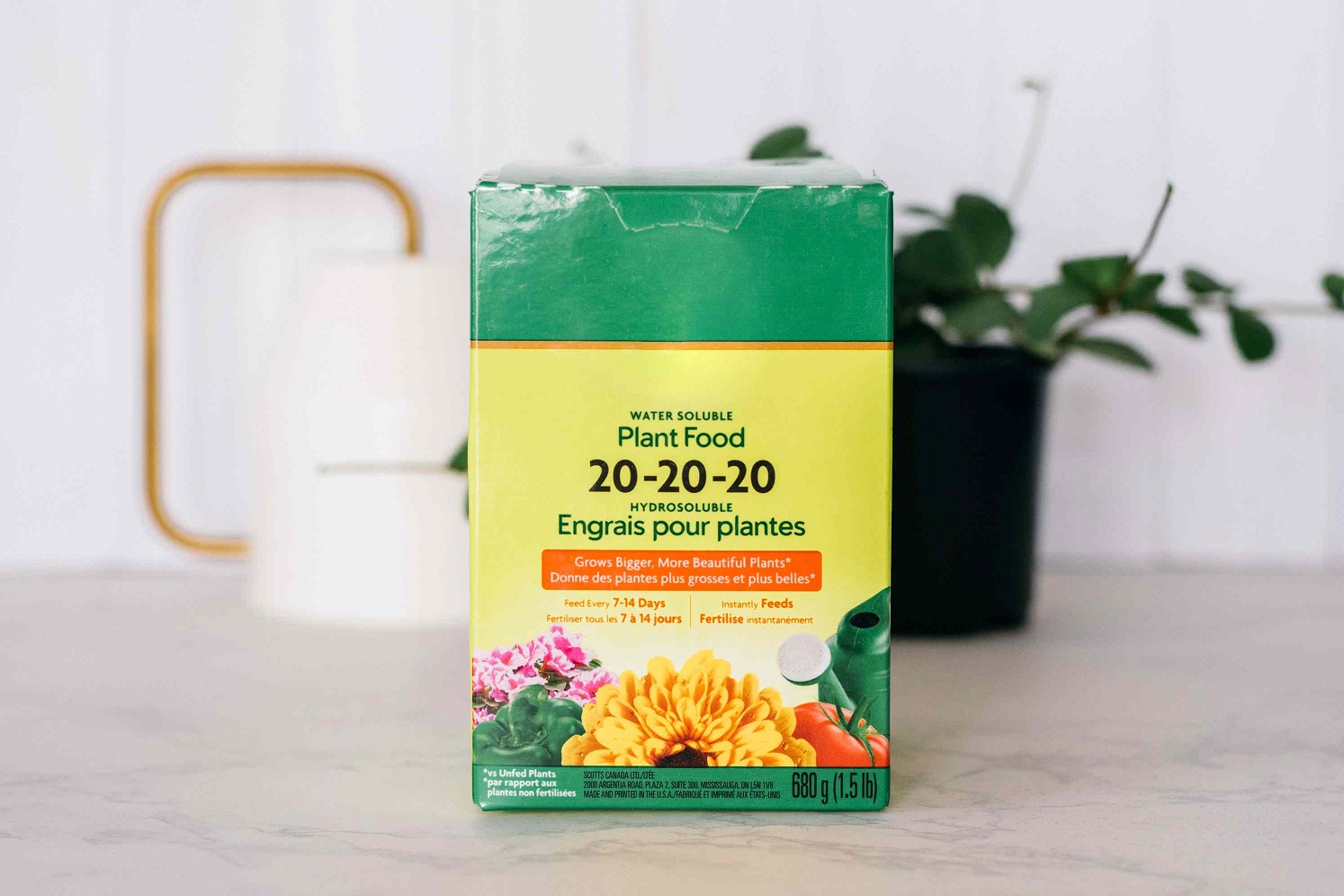 کود برای گیاهان آپارتمانی